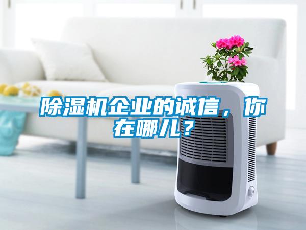 除濕機(jī)企業(yè)的誠信，你在哪兒？