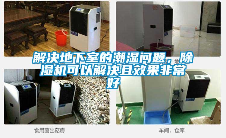 解決地下室的潮濕問(wèn)題，除濕機(jī)可以解決且效果非常好