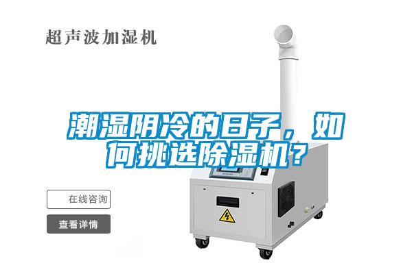 潮濕陰冷的日子，如何挑選除濕機(jī)？