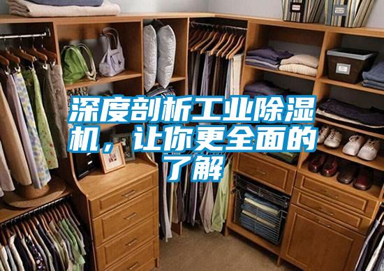 深度剖析工業(yè)除濕機(jī)，讓你更全面的了解