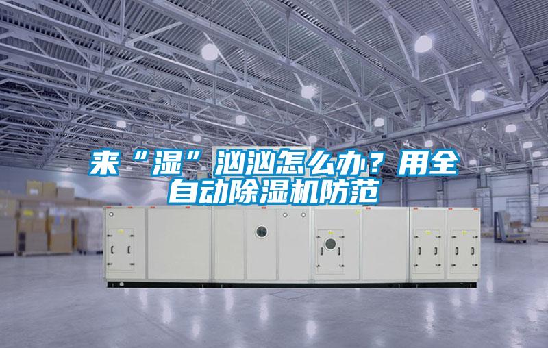 來“濕”洶洶怎么辦？用全自動(dòng)除濕機(jī)防范