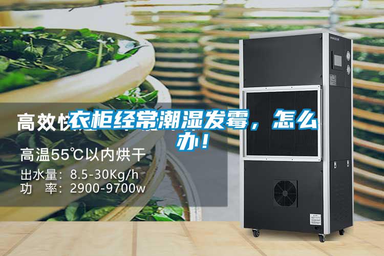 衣柜經常潮濕發(fā)霉，怎么辦！