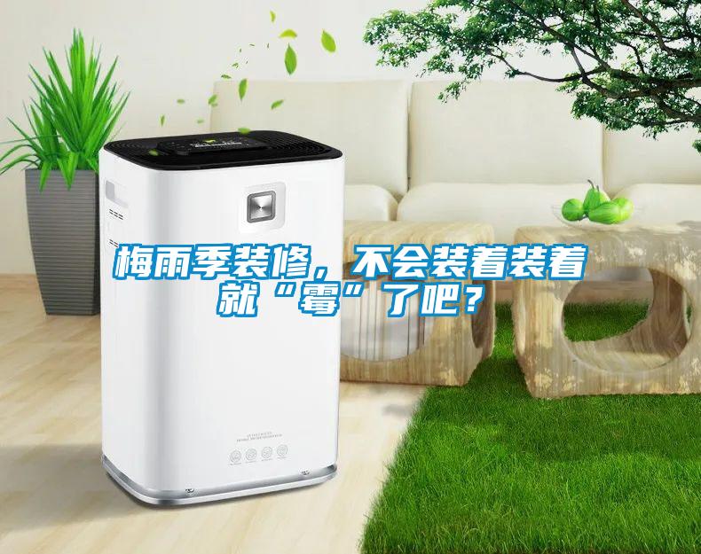 梅雨季裝修，不會(huì)裝著裝著就“霉”了吧？