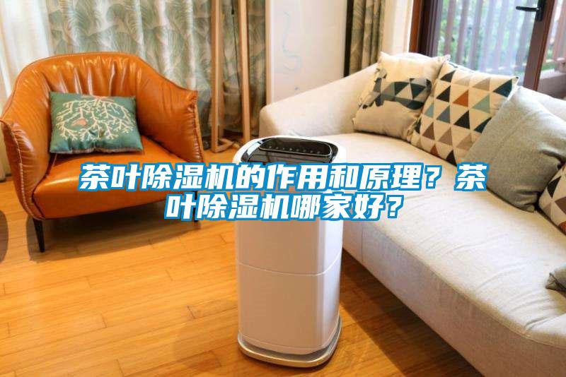茶葉除濕機的作用和原理？茶葉除濕機哪家好？