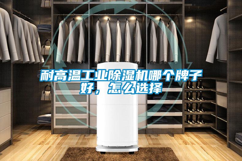 耐高溫工業(yè)除濕機(jī)哪個牌子好，怎么選擇