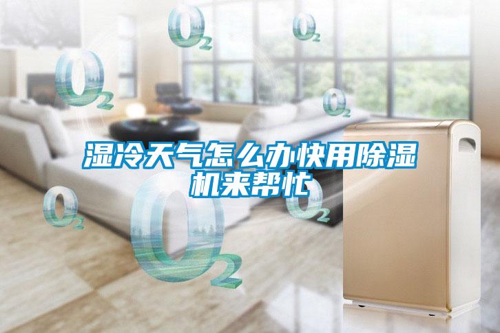 濕冷天氣怎么辦快用除濕機(jī)來(lái)幫忙