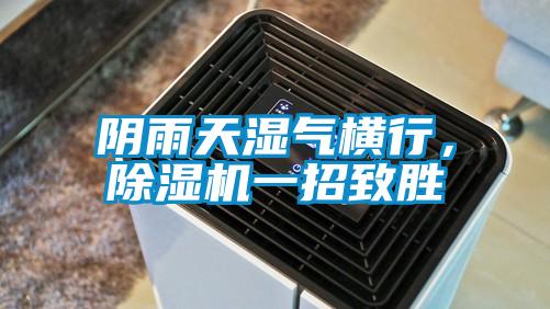 陰雨天濕氣橫行，除濕機一招致勝