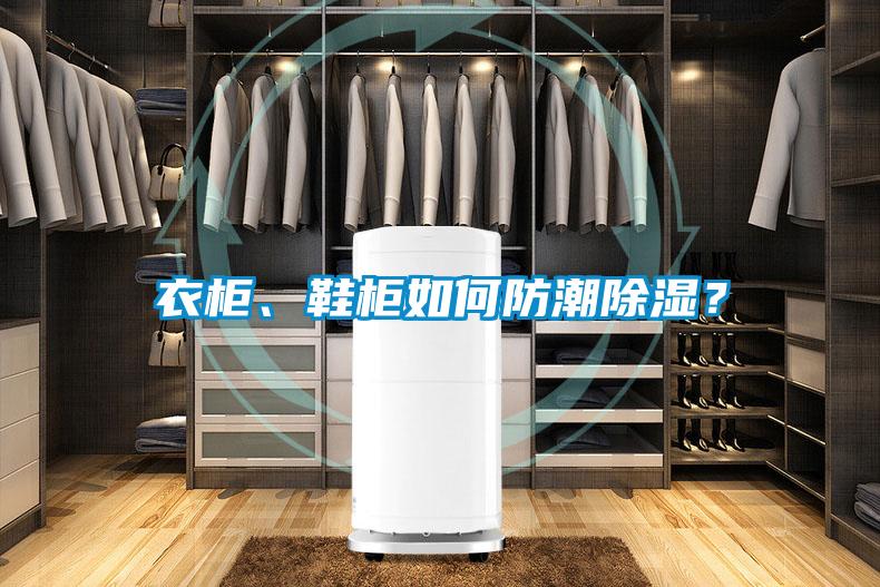 衣柜、鞋柜如何防潮除濕？
