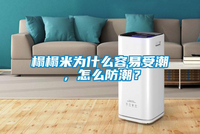榻榻米為什么容易受潮，怎么防潮？