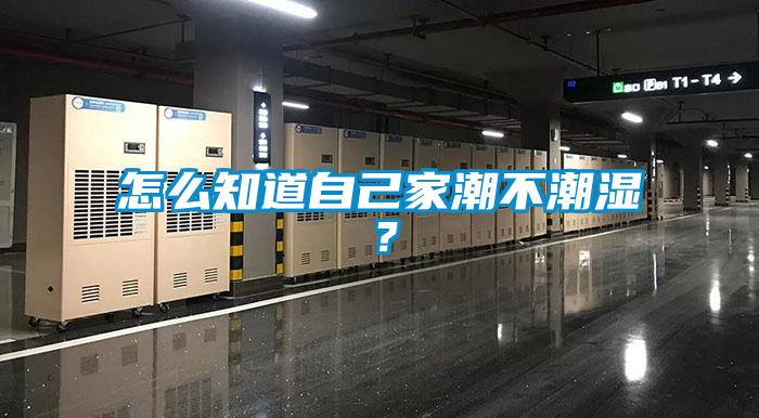 怎么知道自己家潮不潮濕？