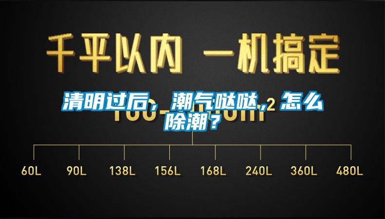 清明過后，潮氣噠噠，怎么除潮？