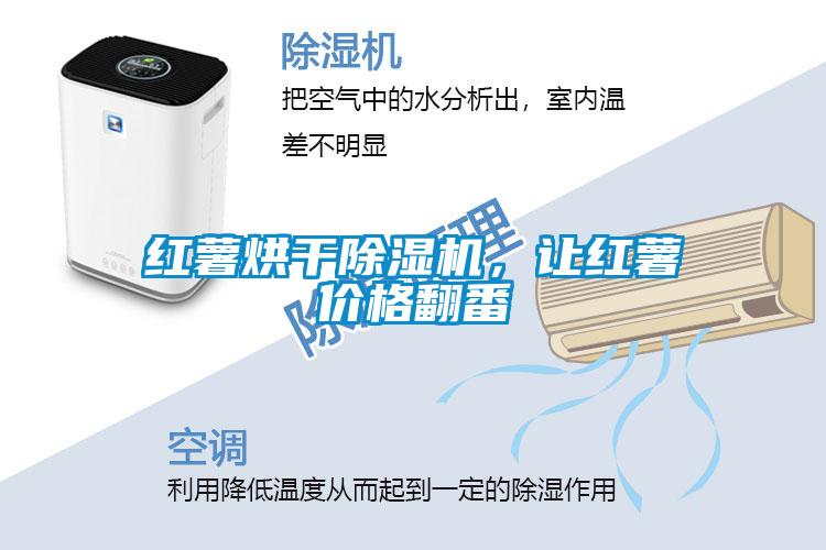 紅薯烘干除濕機(jī)，讓紅薯價(jià)格翻番