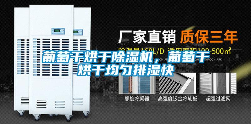 葡萄干烘干除濕機(jī)，葡萄干烘干均勻排濕快