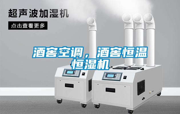 酒窖空調(diào)，酒窖恒溫恒濕機(jī)