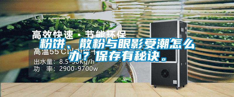 粉餅、散粉與眼影受潮怎么辦？保存有秘訣。