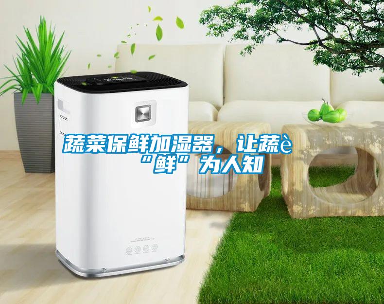 蔬菜保鮮加濕器，讓蔬菜“鮮”為人知