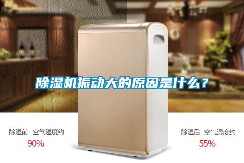 除濕機(jī)振動(dòng)大的原因是什么？