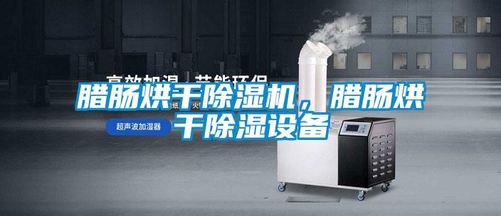 臘腸烘干除濕機，臘腸烘干除濕設備