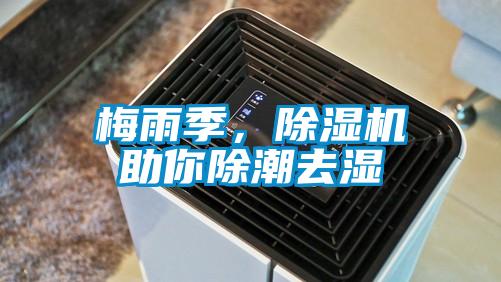 梅雨季，除濕機(jī)助你除潮去濕