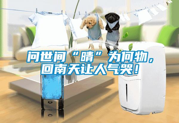 問世間“晴”為何物，回南天讓人氣哭！