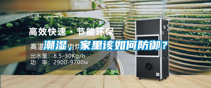 潮濕，家里該如何防御？
