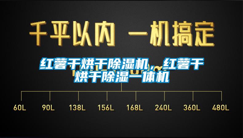 紅薯干烘干除濕機(jī)，紅薯干烘干除濕一體機(jī)