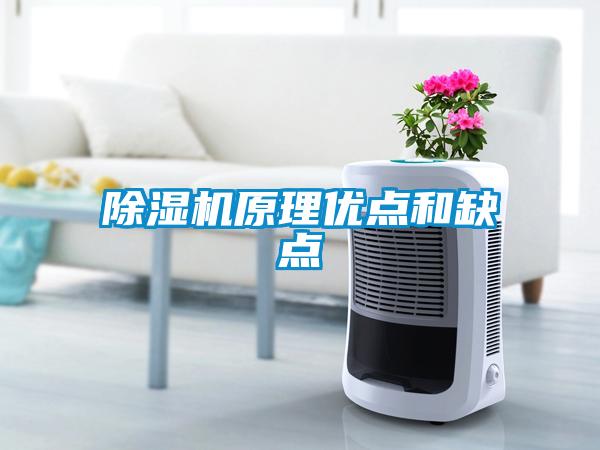 除濕機(jī)原理優(yōu)點和缺點