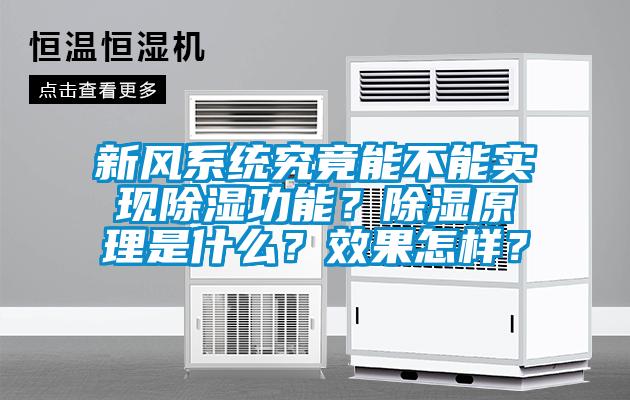 新風系統(tǒng)究竟能不能實現(xiàn)除濕功能？除濕原理是什么？效果怎樣？