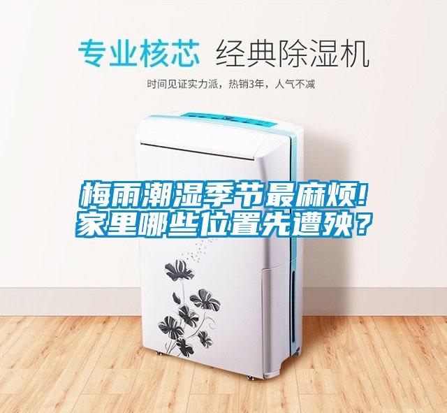 梅雨潮濕季節(jié)最麻煩!家里哪些位置先遭殃？