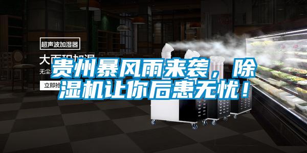 貴州暴風(fēng)雨來襲，除濕機(jī)讓你后患無憂！