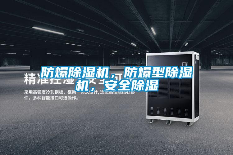 防爆除濕機(jī)，防爆型除濕機(jī)，安全除濕