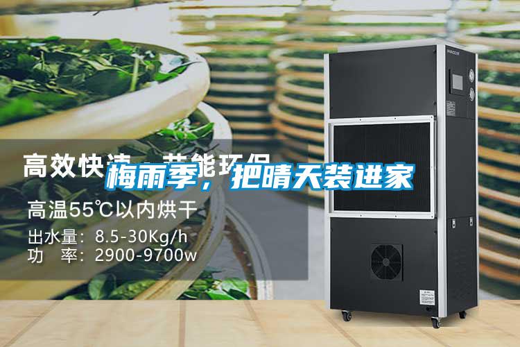 梅雨季，把晴天裝進(jìn)家