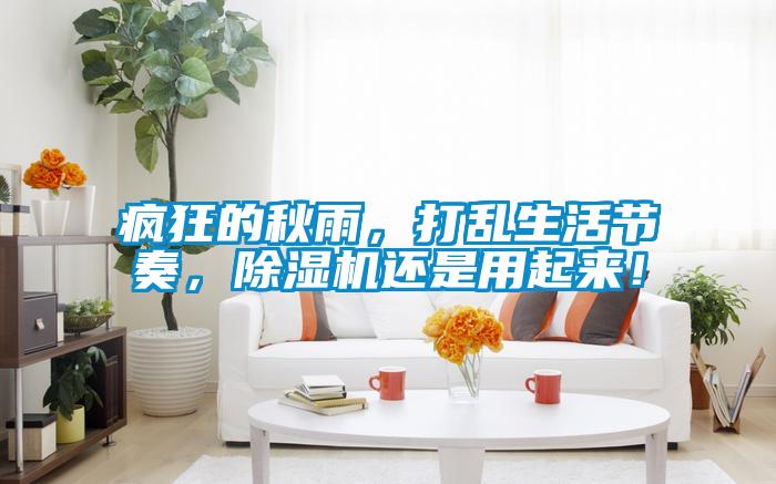 瘋狂的秋雨，打亂生活節(jié)奏，除濕機還是用起來！