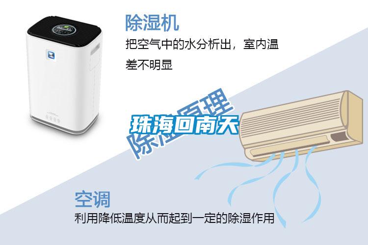 珠?；啬咸?></div>
								<div   id=