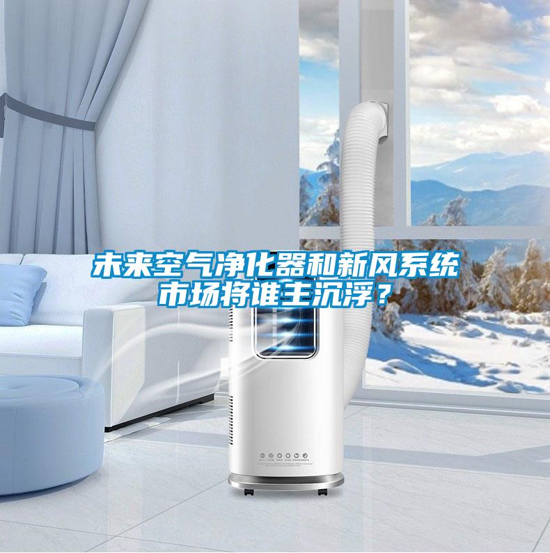 未來(lái)空氣凈化器和新風(fēng)系統(tǒng)市場(chǎng)將誰(shuí)主沉??？