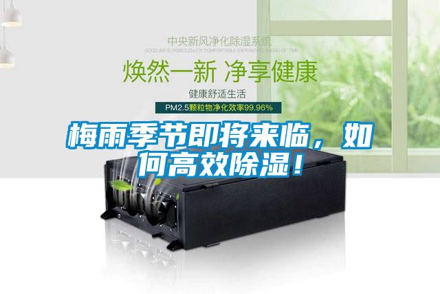 梅雨季節(jié)即將來臨，如何高效除濕！