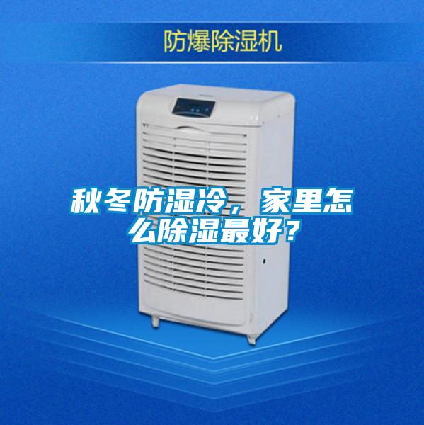 秋冬防濕冷，家里怎么除濕最好？