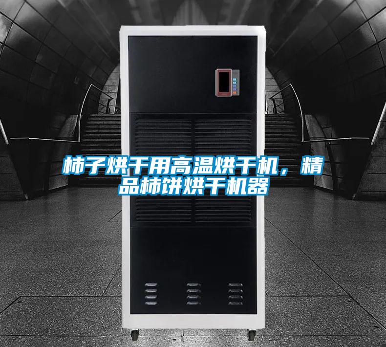 柿子烘干用高溫烘干機(jī)，精品柿餅烘干機(jī)器