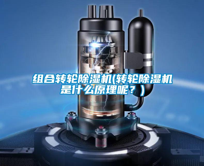 組合轉(zhuǎn)輪除濕機(jī)(轉(zhuǎn)輪除濕機(jī)是什么原理呢？)
