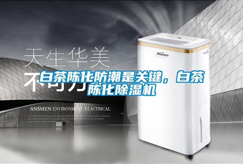 白茶陳化防潮是關(guān)鍵，白茶陳化除濕機(jī)