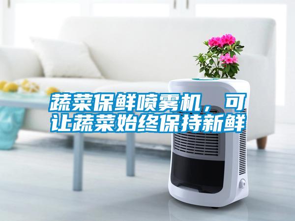 蔬菜保鮮噴霧機，可讓蔬菜始終保持新鮮
