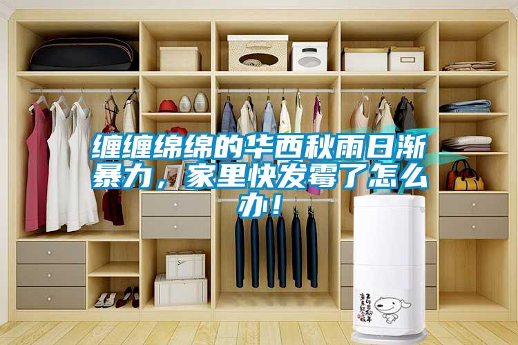 纏纏綿綿的華西秋雨日漸暴力，家里快發(fā)霉了怎么辦！