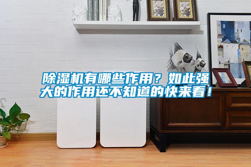 除濕機(jī)有哪些作用？如此強(qiáng)大的作用還不知道的快來看！