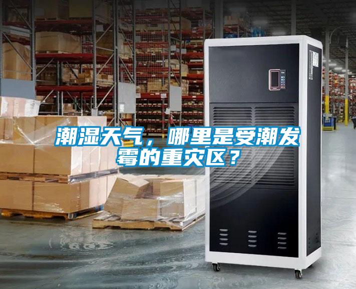 潮濕天氣，哪里是受潮發(fā)霉的重災區(qū)？