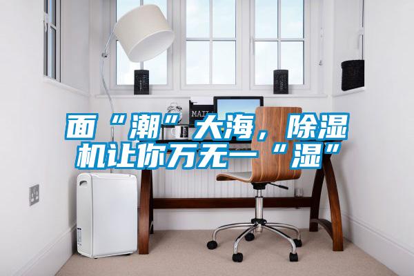 面“潮”大海，除濕機(jī)讓你萬(wàn)無(wú)一“濕”