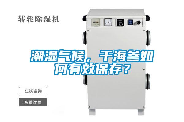潮濕氣候，干海參如何有效保存？