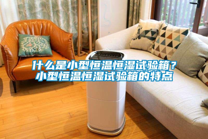 什么是小型恒溫恒濕試驗箱？小型恒溫恒濕試驗箱的特點