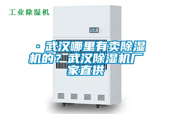 ·武漢哪里有賣除濕機(jī)的？武漢除濕機(jī)廠家直供