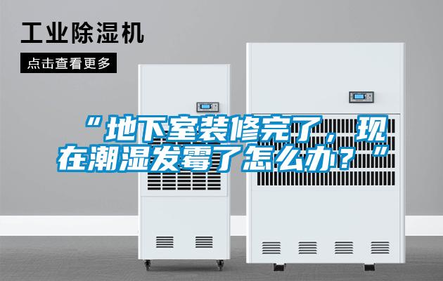 “地下室裝修完了，現(xiàn)在潮濕發(fā)霉了怎么辦？”