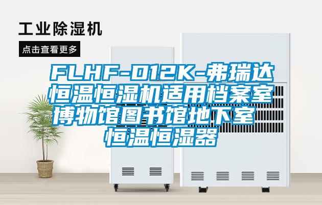 FLHF-D12K-弗瑞達(dá)恒溫恒濕機適用檔案室博物館圖書館地下室 恒溫恒濕器